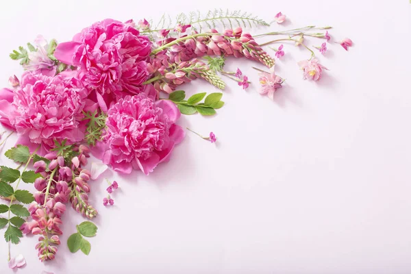 Rosa hermosas flores sobre fondo blanco — Foto de Stock