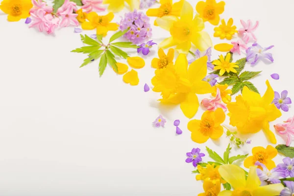 Fiori primaverili su sfondo bianco — Foto Stock