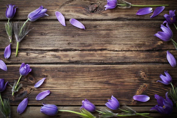 Primavera Flores púrpuras sobre fondo de madera viejo — Foto de Stock