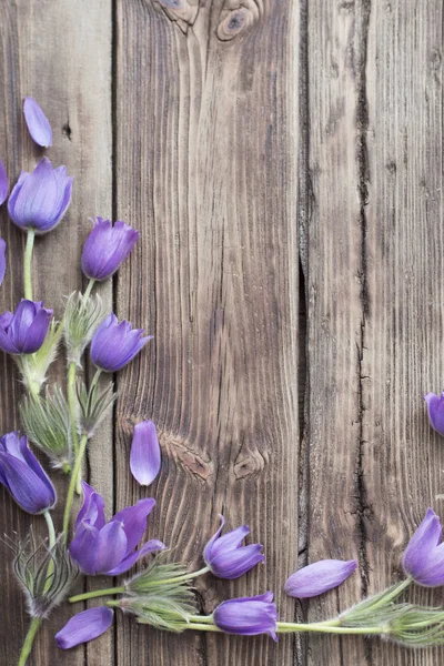 Primavera Flores púrpuras sobre fondo de madera viejo —  Fotos de Stock