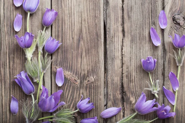 Primavera Flores púrpuras sobre fondo de madera viejo —  Fotos de Stock