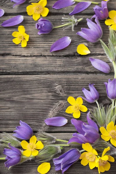 旧木背景上的春天紫色和黄色的花朵 — 图库照片