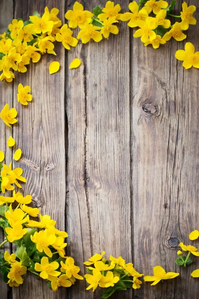 Gele lente bloemen op donkere houten achtergrond — Stockfoto