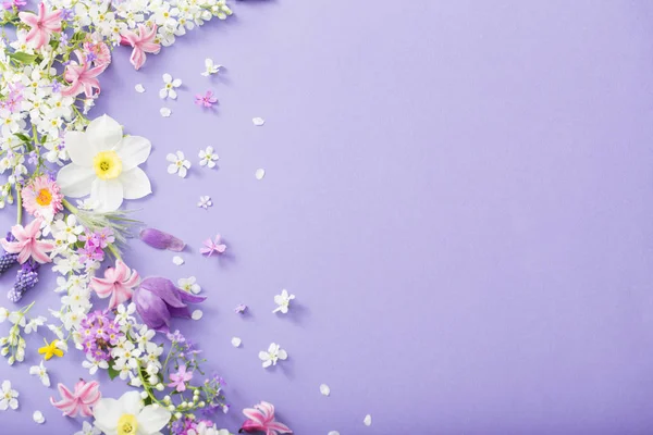 Spring flowers on paper background — Stock Photo, Image
