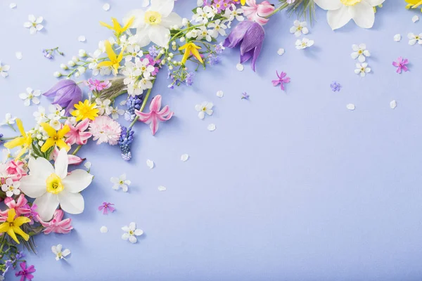 Spring flowers on paper background — Stock Photo, Image