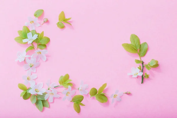Vit blommor på rosa papper bakgrund — Stockfoto