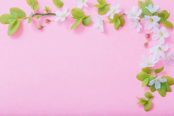 Białe kwiaty na różowym tle papieru — Zdjęcie stockowe