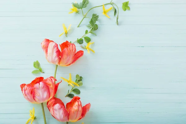 Tulipes rouges sur fond vert en bois — Photo