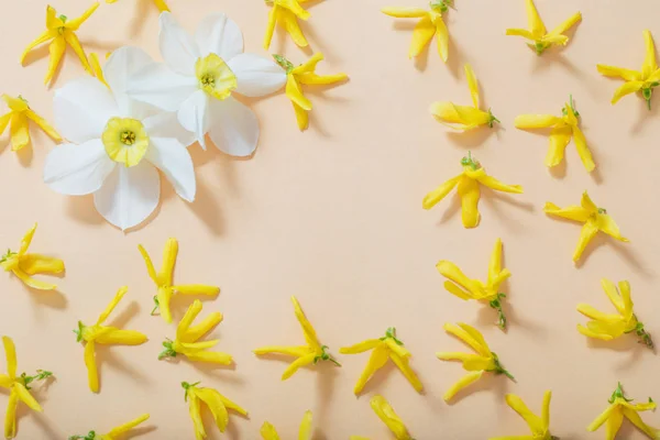 Tavaszi virágok narancssárga papír háttér — Stock Fotó