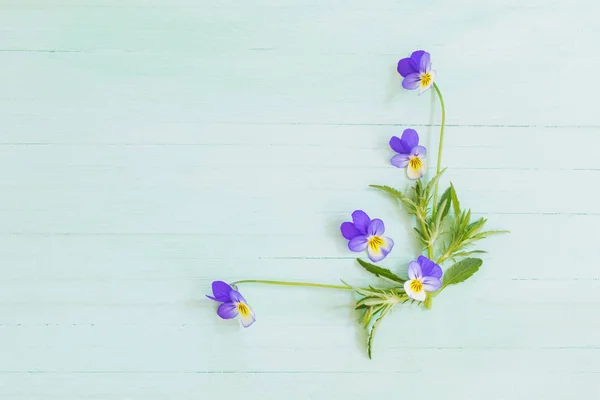 Viola květiny na dřevěném pozadí — Stock fotografie