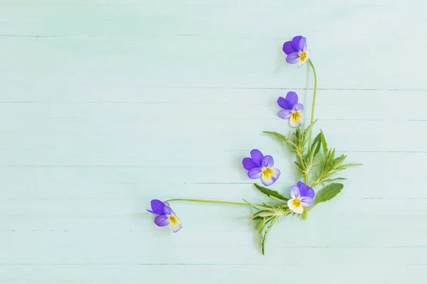 Flores de viola em fundo de madeira — Fotografia de Stock