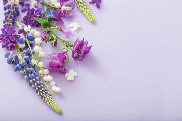 Púrpura, azul, flores rosadas sobre fondo de papel — Foto de Stock