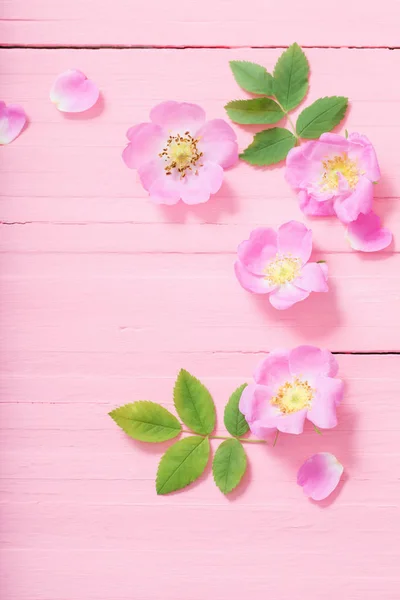 Frame van roze rozen op roze houten achtergrond — Stockfoto