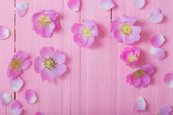 Marco de rosas rosadas sobre fondo de madera rosa — Foto de Stock