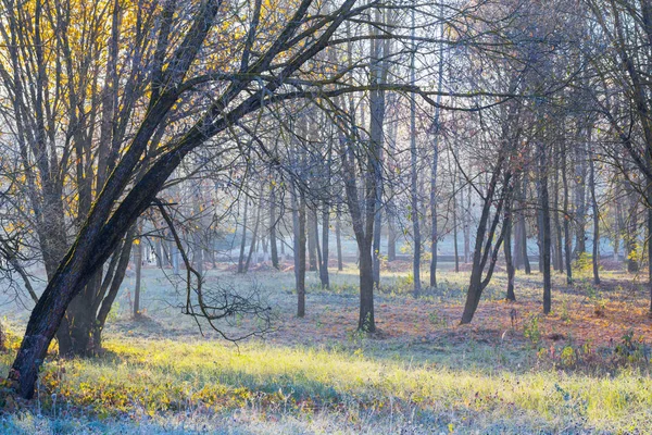 Sunny autumn landscape with frost — Stock Photo, Image