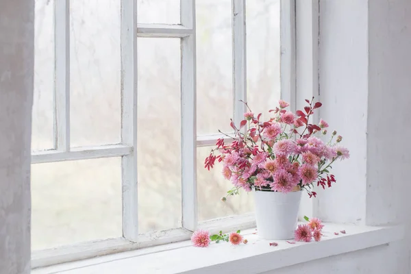 Crisantemos rosados en alféizar de ventana blanco — Foto de Stock