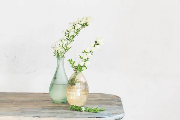 Ramas de Spirea en jarrones sobre fondo vintage de pared vieja — Foto de Stock