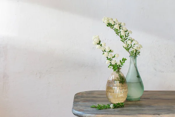 Branches Spirea dans des vases sur fond vintage de vieux mur — Photo