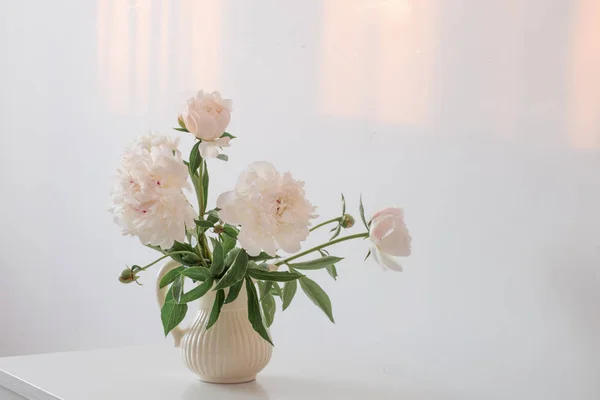 Peônias flores em vaso no fundo branco — Fotografia de Stock