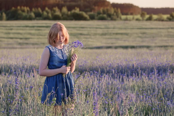Krásná teenagerka v letních polích s cornflowem — Stock fotografie