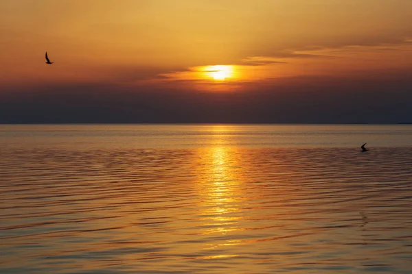 Schöner Sommersonnenuntergang am See — Stockfoto