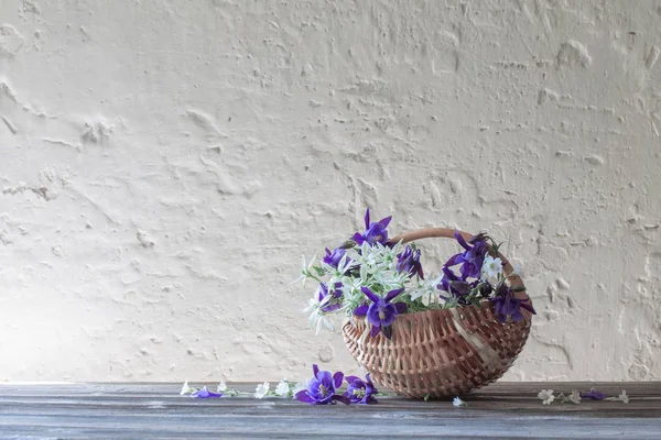 Fleurs d'été dans le panier sur fond blanc mur — Photo