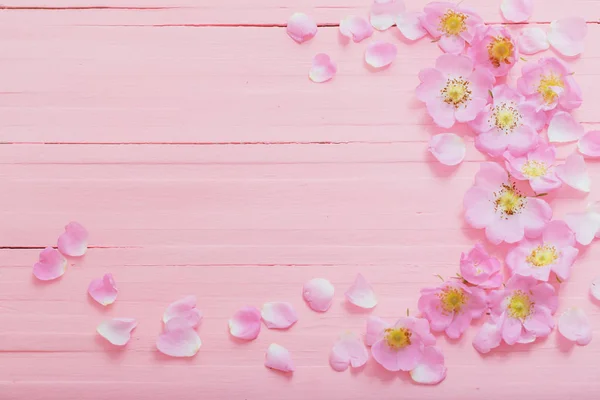 Frame van roze rozen op roze houten achtergrond — Stockfoto