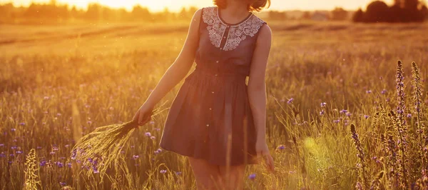 Mooie tiener meisje in de zomer veld met cornflowe — Stockfoto