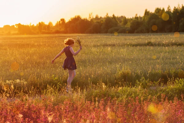 Adolescente no campo de verão ao pôr do sol — Fotografia de Stock