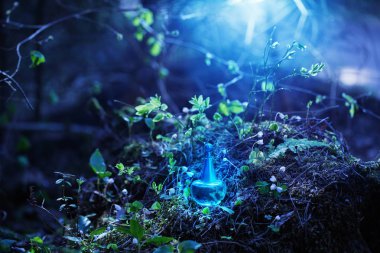 ormanda şişe üzerinde sihirli iksir