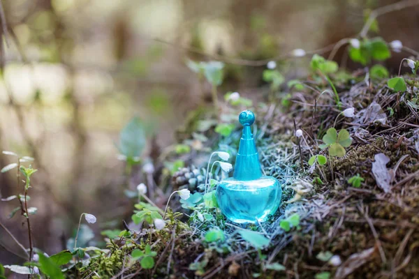 Magiczny eliksir na butelce w lesie — Zdjęcie stockowe