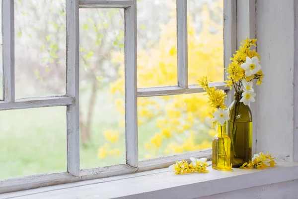 Flores amarelas da primavera no peitoril da janela — Fotografia de Stock