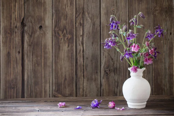 Flores aquilegia en jarrón blanco sobre fondo de madera vieja —  Fotos de Stock