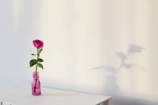 Rosa rosa en botella de vidrio en estante de madera blanca — Foto de Stock