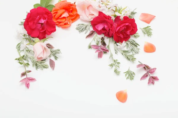 Rose flowers and leaves on white background — Stock Photo, Image