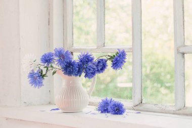 Mor Aster sürahi pencere üzerinde
