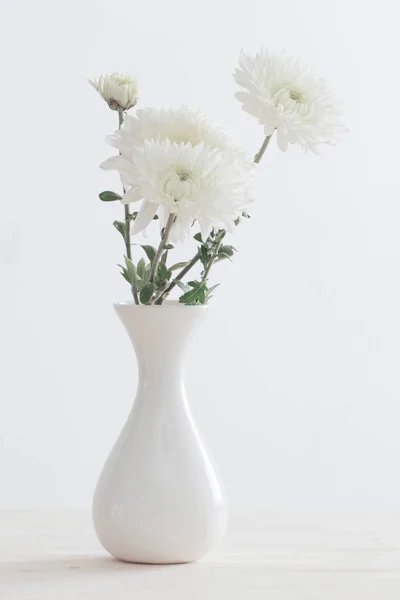 Chrysanthemen in weißer Vase — Stockfoto
