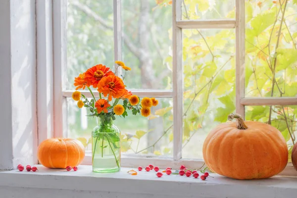 Orange Flowers Vase Pumpkins Windowsill — Stock Photo, Image
