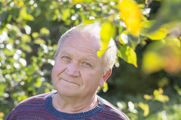 Portret van de oudere man in park — Stockfoto