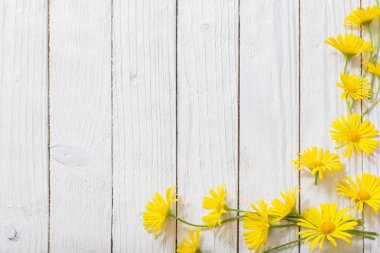 boyalı ahşap arka plan üzerinde doronicum çiçekler