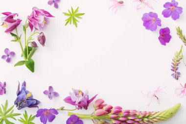 Çerçeve beyaz zemin üzerine yaz çiçek