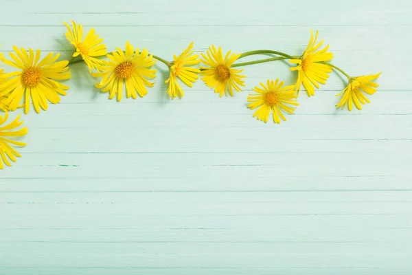 Boyalı yeşil ahşap arka plan üzerinde doronicum çiçekler — Stok fotoğraf