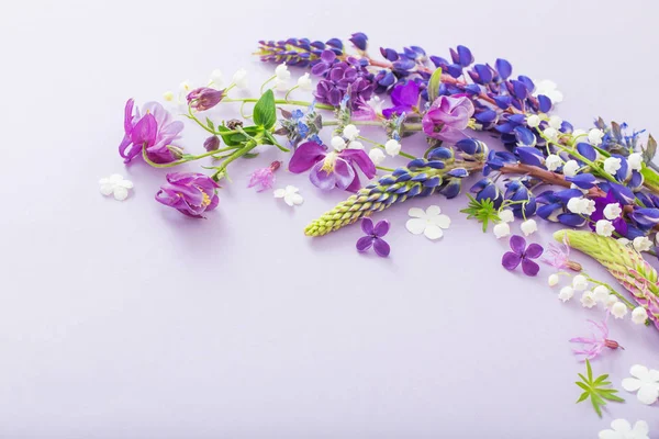 Kağıt zemin üzerinde mor, mavi, pembe çiçekler — Stok fotoğraf