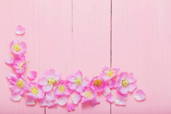 Rózsaszín rózsa kerete rózsaszínű, fából készült háttérrel — Stock Fotó