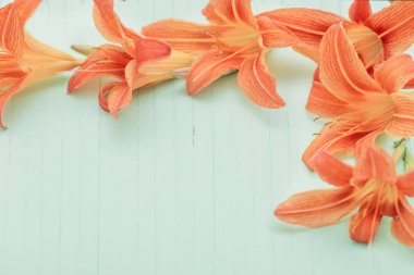 Ahşap arka planda turuncu zambak 