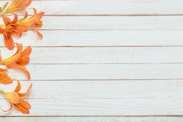 Oranžová denní lilie na dřevěném pozadí — Stock fotografie