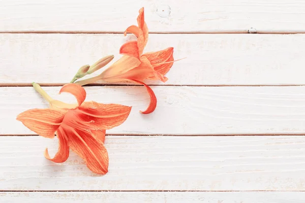 Pomarańczowa lilia dzienna na drewnianym tle — Zdjęcie stockowe