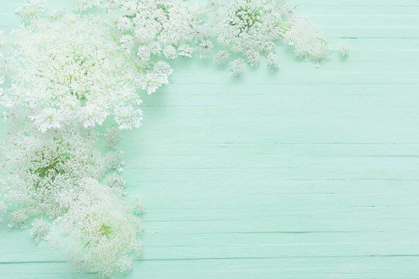 Flores silvestres blancas sobre fondo de madera verde —  Fotos de Stock