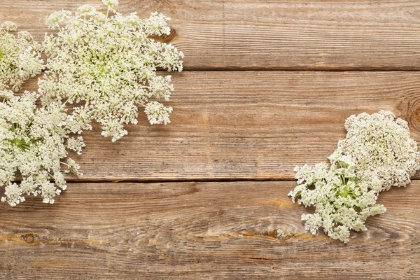 Vita blommor på gammal trä bakgrund — Stockfoto