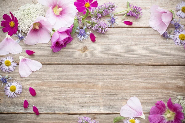 Summer flowers on old wooden background — Stock Photo, Image